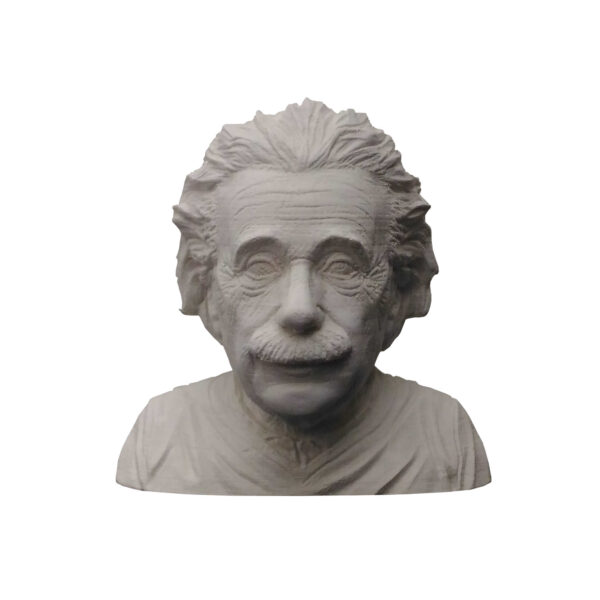 Albert Einstein Bust Figurine Statue - Famous Scientist Art Piece