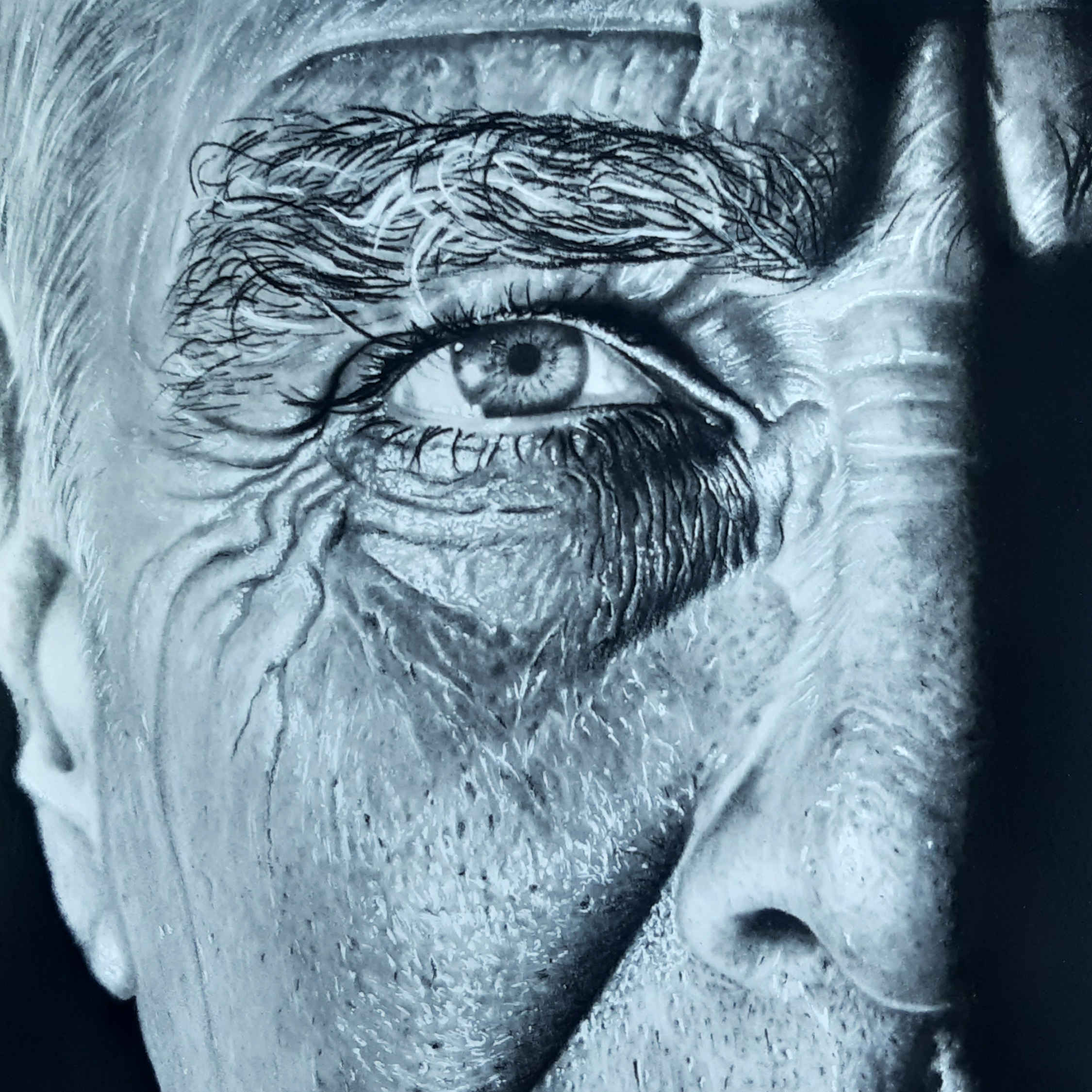 Original Black Pen Drawing with Hyperrealism Design by Manouchehr Dashti