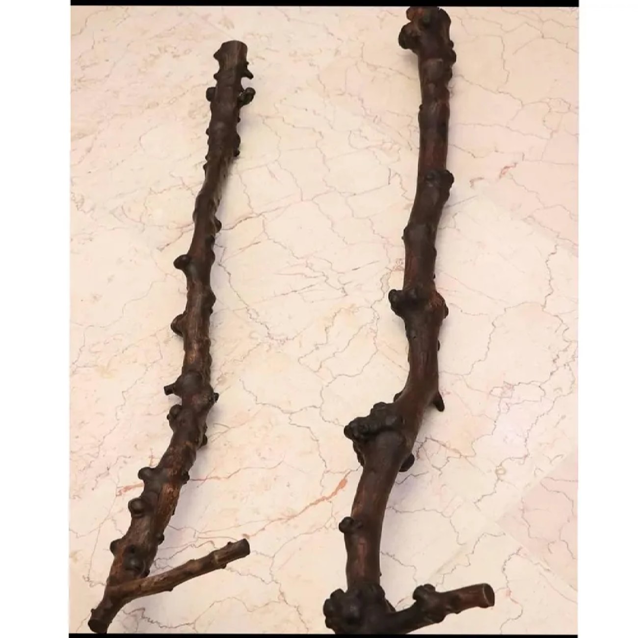 Iranian Dervish Ethnic Wooden Cane