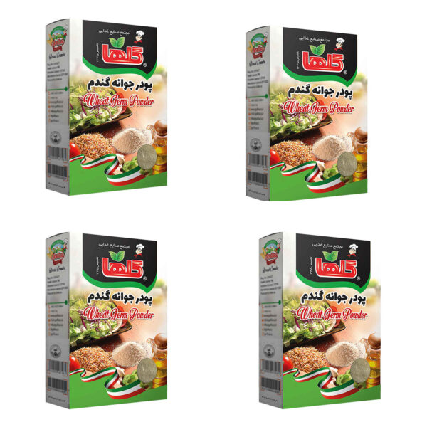 Iranian Dried Wheat Germ Powder - 200 gr (x4)