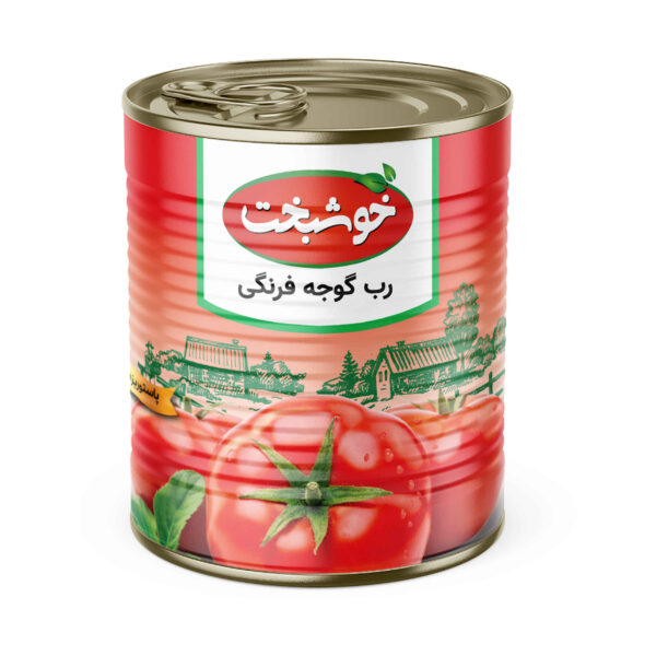 Persian Canned Tomato Paste Khoshbakht 800 gr (2x)