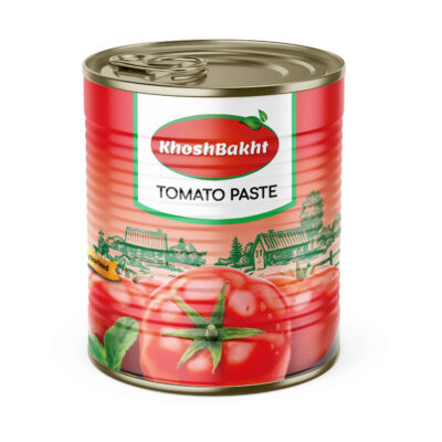 Persian Canned Tomato Paste Khoshbakht 800 gr (2x)