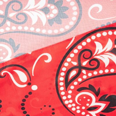 Traditional Shawl for Women with Paisley Design