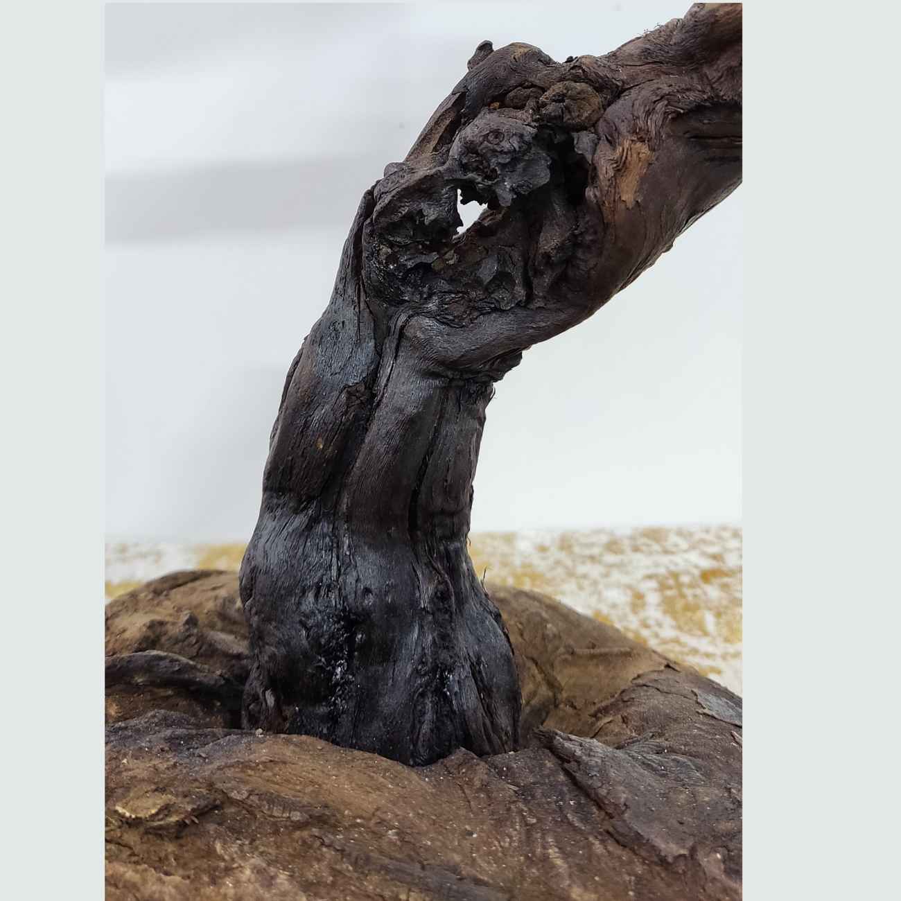 Rustic Wooden Log Table Lamp Natural Handcrafted