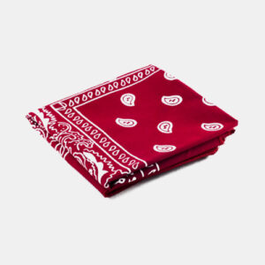 Mini Head Scarf for Women – Stylish Paisley Design