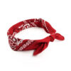 Mini Head Scarf for Women - Stylish Paisley Design