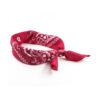 Mini Head Scarf for Women - Stylish Paisley Design