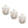 Ceramic Canister Jar with Hand Painting Flower Design Set of 3