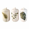 Ceramic Canister Jar with Hand Painting Leaf Design Set of 3