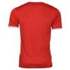 Persepolis FC Fan Jersey - Lion