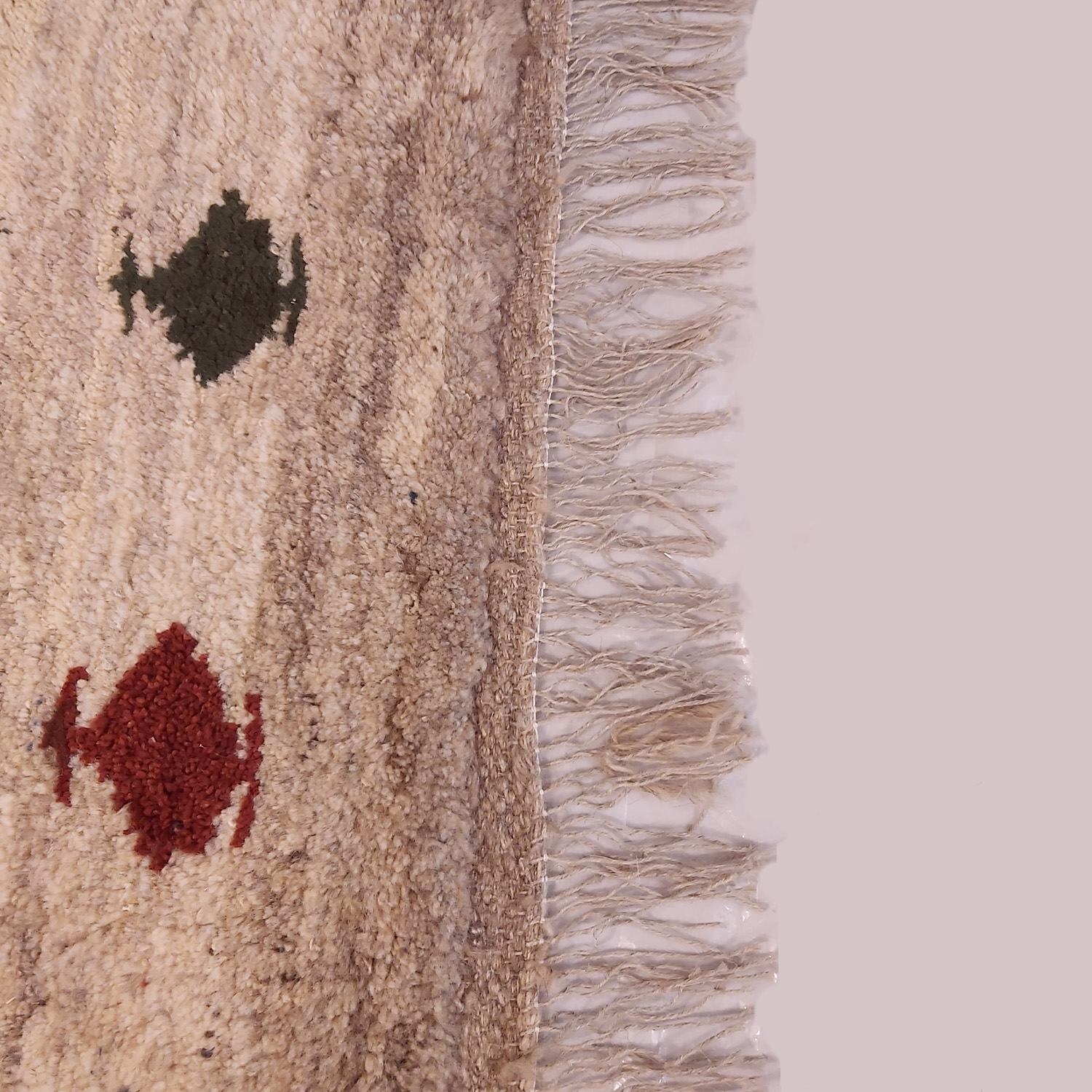 Persian Gabbeh Rug with Wool Authentic Handwoven in Shiraz Animal Motifs