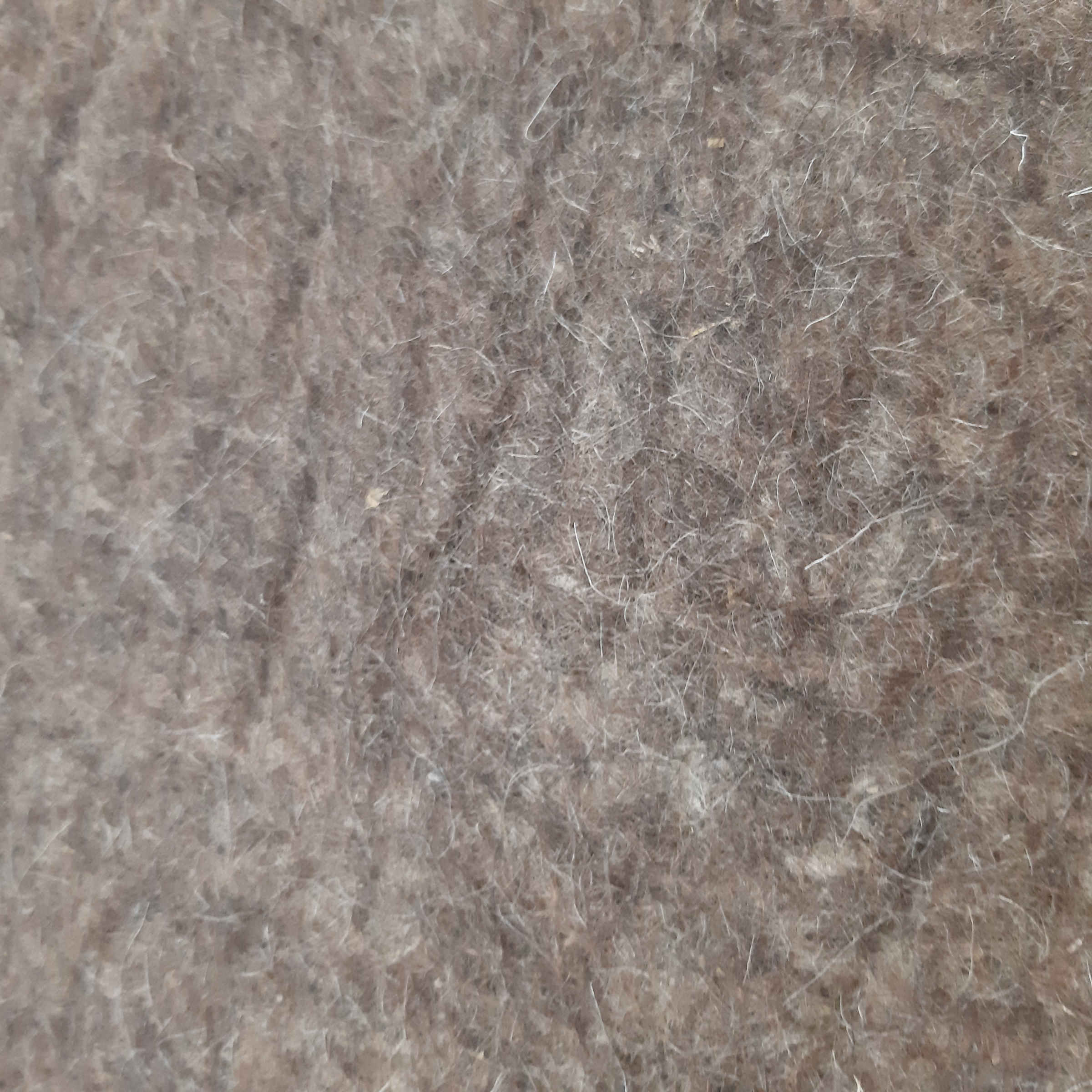 Persian Wool Felt Rug 100% Natural and Handmade Kayvan