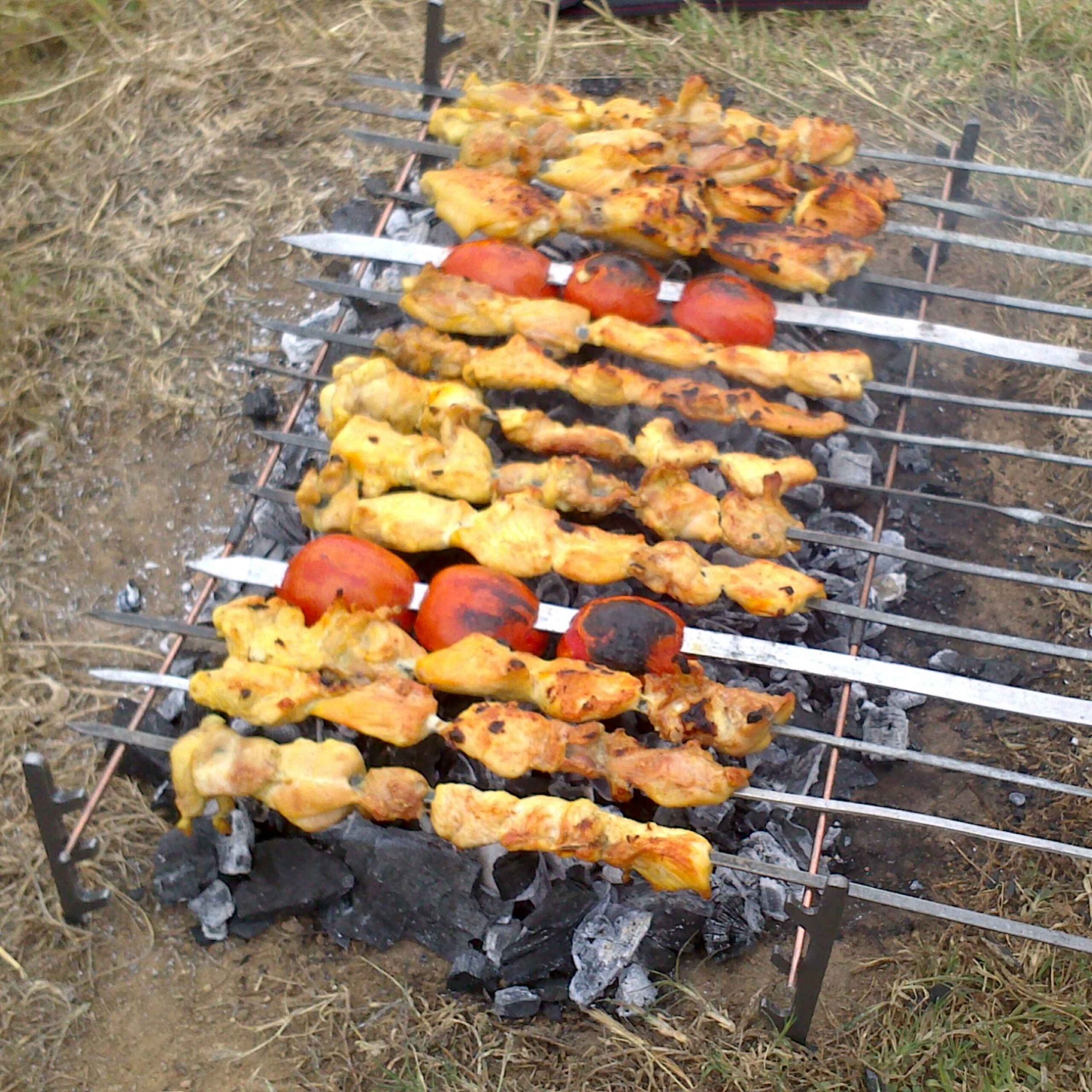 Portable Mini Camping Grill - Lightweight & Backpack Size - ShopiPersia