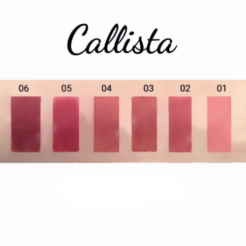 Calista Long Lasting Lipstick Rich Color & Luxurious Feel : Number 6