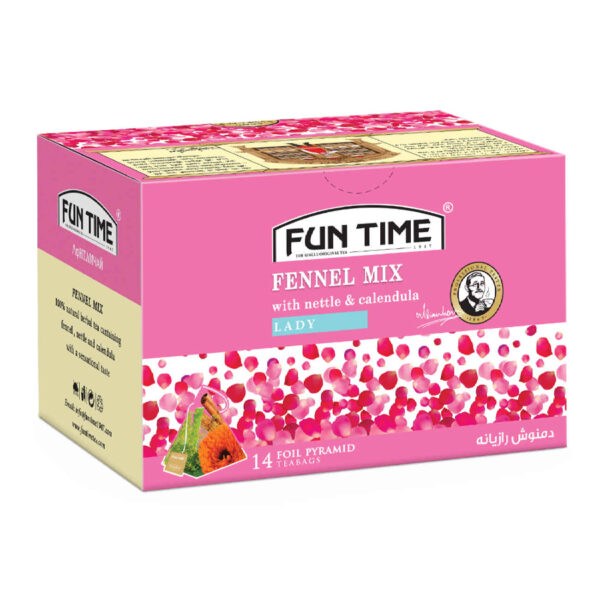 Fennel Wellness Herbal Tea by Fun Time (Pack of 4)