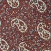 Persian Termeh Fabric with Floral Paisley Design