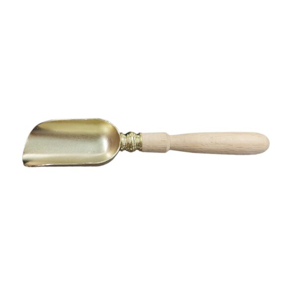 Nut Serving Spoon with Wooden Handle