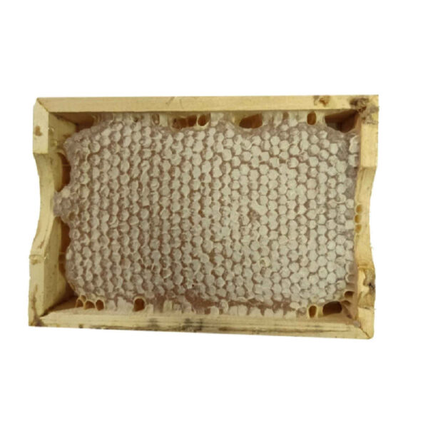 Fresh Iranian Honey with Natural Beeswax (2900g)
