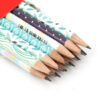 Iranian Premium Black Pencils – 12 Pack for Bold, Elegant Writing - Aria Master Quality