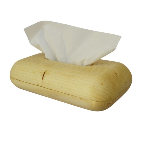 Minimalist Wooden Tissue Box Cover Model Sepehr