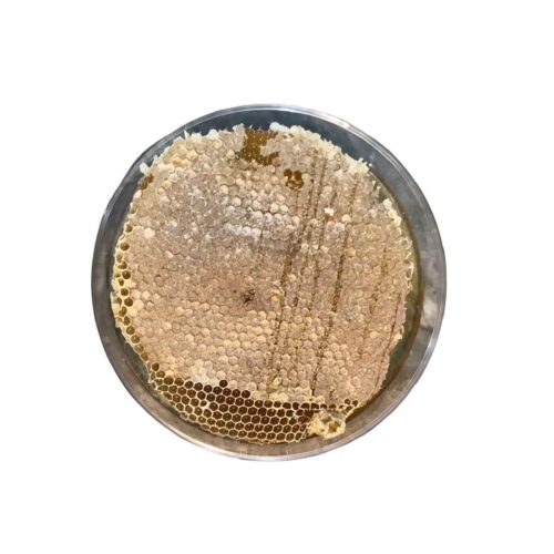 Organic Iranian Honey with Pure Beeswax (980g)