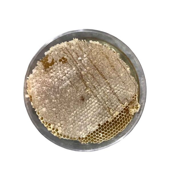 Organic Iranian Honey with Pure Beeswax (980g)