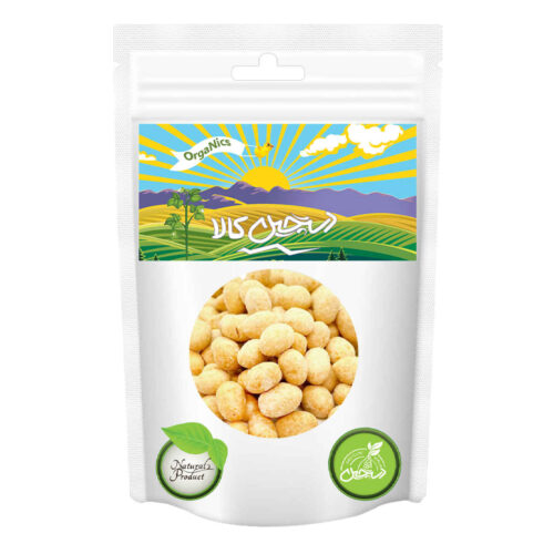 Smoky-Flavored Roasted Peanuts – 600g – Dastchin Kala