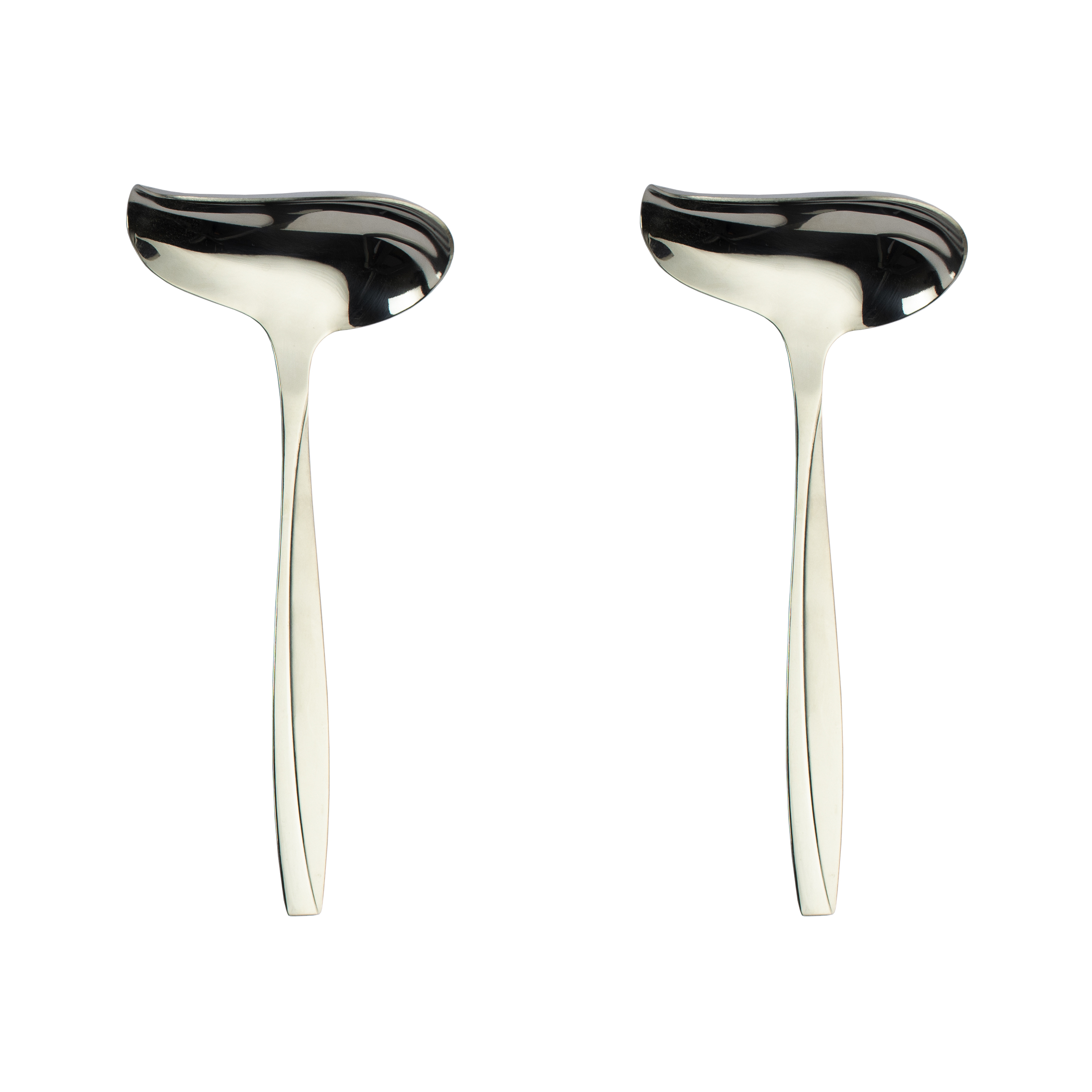 Stainless Steel Ladle with Comfortable Grip