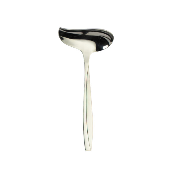 Stainless Steel Ladle with Comfortable Grip