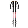 Hiking Pole - Essential Features for Every Outdoor Enthusiast Pack of 2