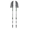 Hiking Pole - Essential Features for Every Outdoor Enthusiast (x2)