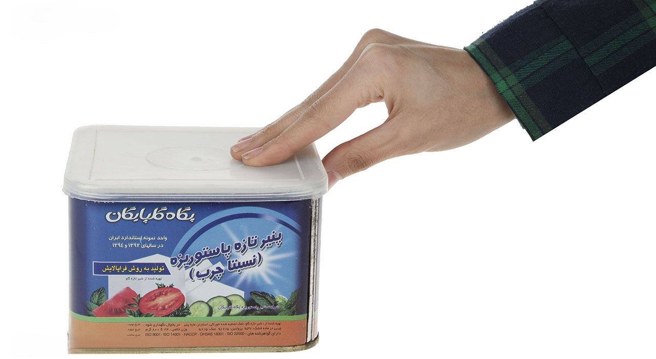 Iranian Fresh Pasteurized Cheese -Suitable for Breakfast 800 gram