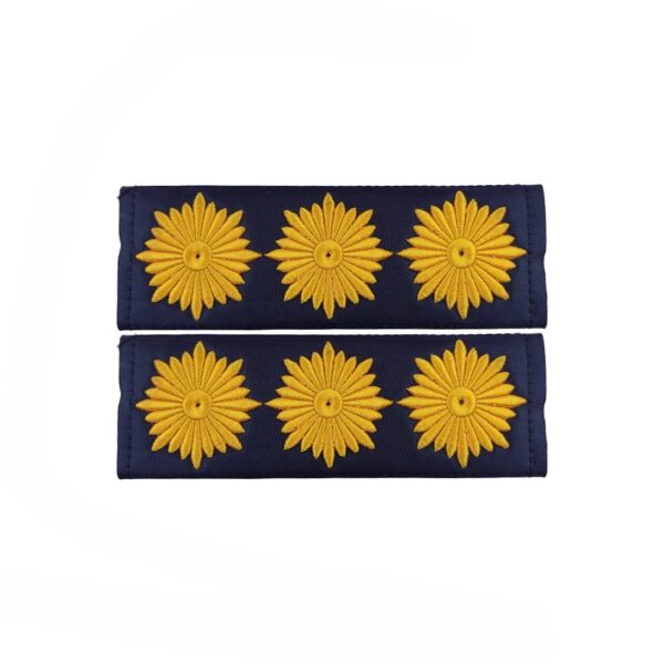 Military Insignia - A Pair of Full Colonel Rank Emblems Adhesive