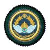 Military Insignia - New Air Force Arm Patch of the Army with Two Suede Layers