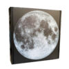 Moonlit Pieces: 1000-Piece Jigsaw Puzzle