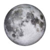 Moonlit Pieces: 1000-Piece Jigsaw Puzzle
