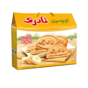 Naderi Koloocheh Banana Cookies Pack of 20 (x3) – 2700 gram
