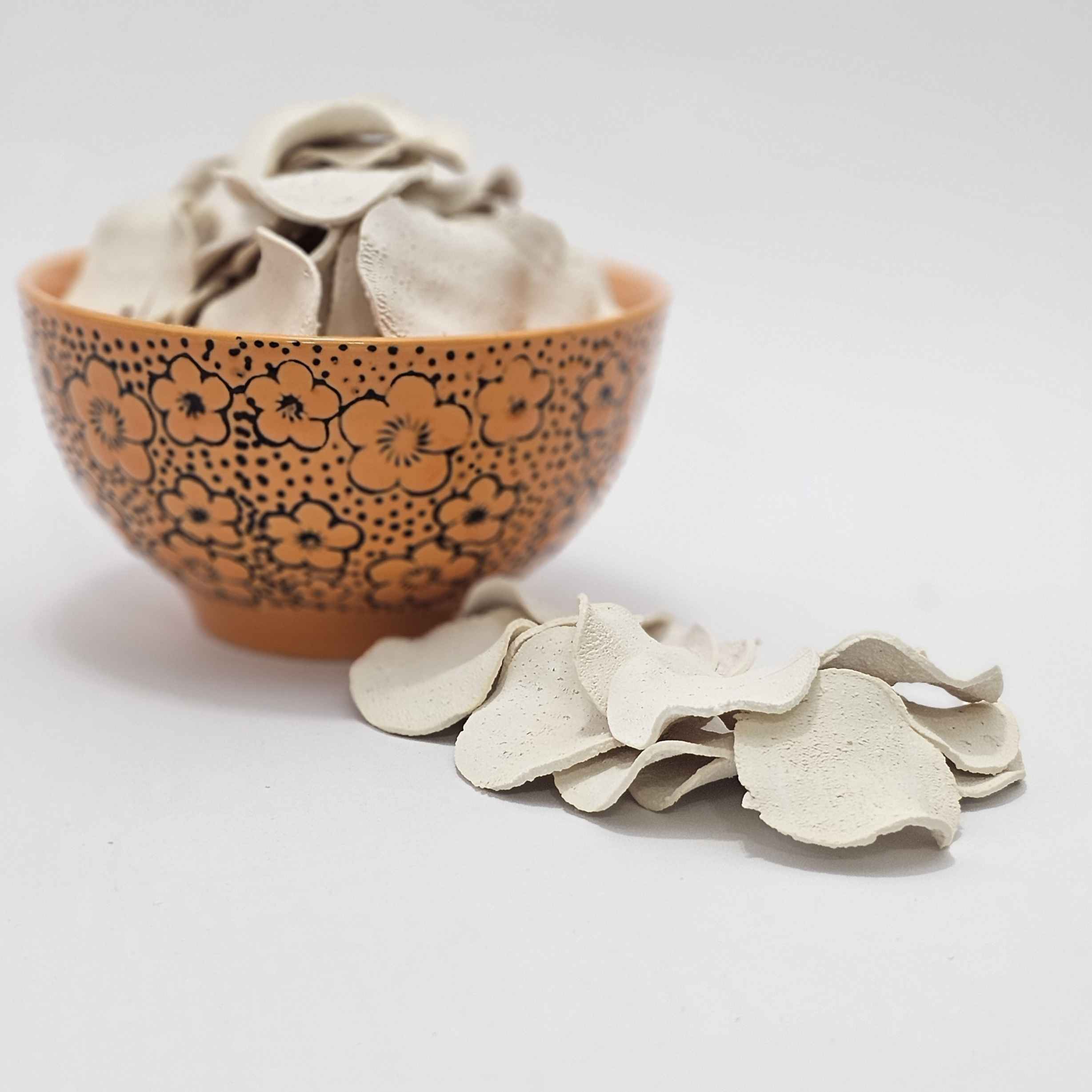 Kashk – Persian Dry Curd with Mint Flavor – Pack of 10 – 25 gr