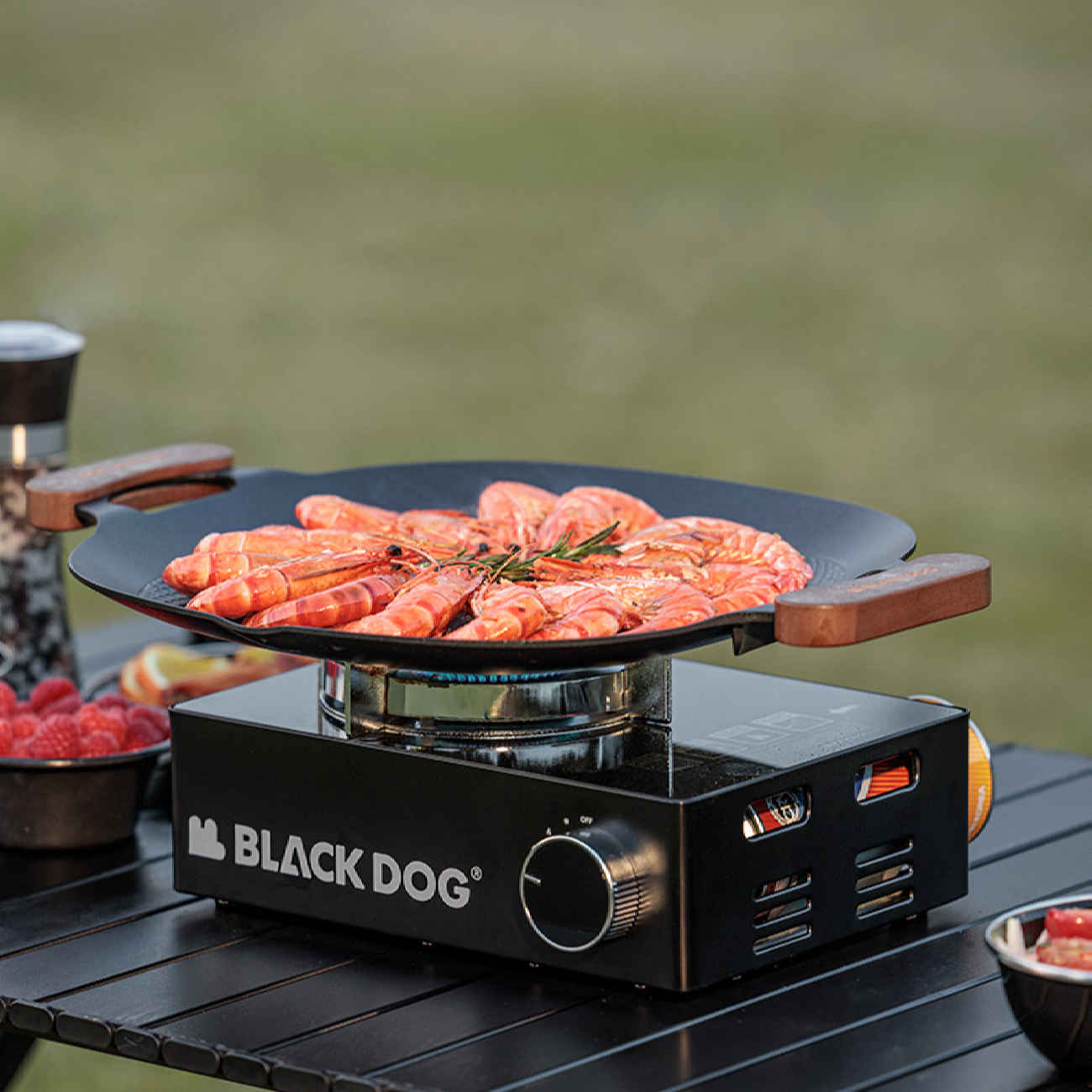 Portable Camping Stove –  Durable and Efficient