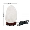 Persian Salt Rock Lamp - Enhance Your Living Space with Natural Wellness