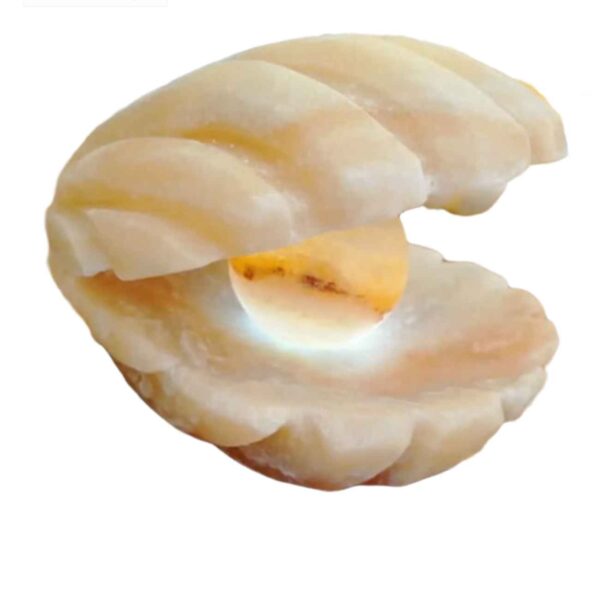 Persian Salt Rock Lamp for Natural Wellness – Perfect Gift for Stress Relief with Shel Design