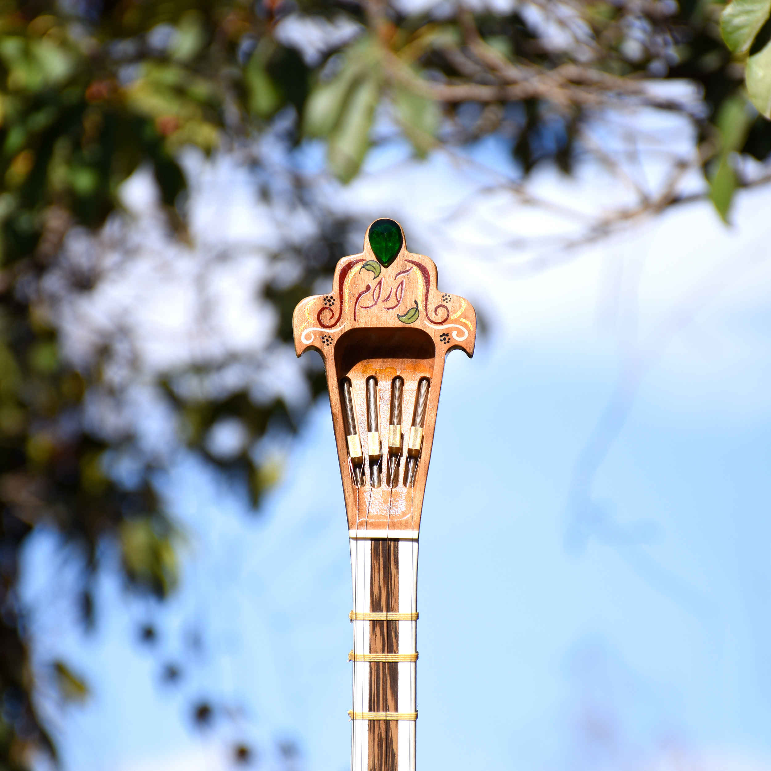 Expert Persian Setar – Handcrafted by Iransaz, Model Aram (Professional)