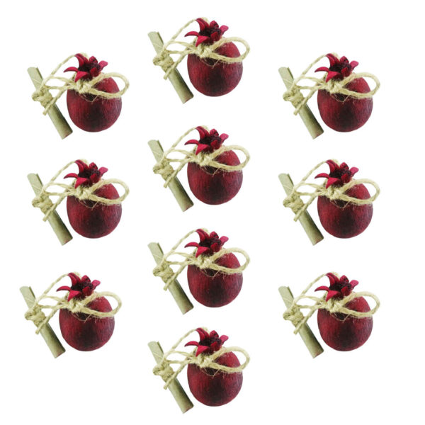 Persian Yalda Gift in Pomegranate Design (Pack of 10)