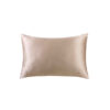 Satin Pillowcase From Night to Morning - A Touch of Elegance (Pack of 2)