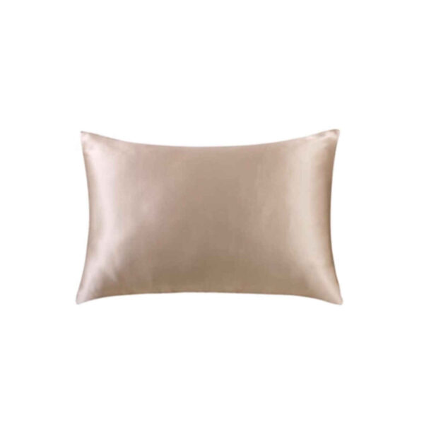 Satin Pillowcase From Night to Morning - A Touch of Elegance (Pack of 2)