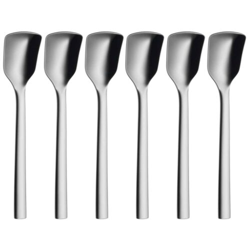 Steel Ice Cream Spoon – for Everyday Use and Special Moments (Pack of 6)