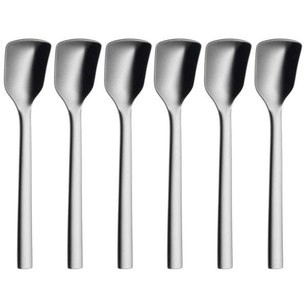 Steel Ice Cream Spoon - for Everyday Use and Special Moments (Pack of 6)
