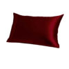 Satin Pillowcase For a Comfortable Sleep - Softness and Shine (Pack of 2)