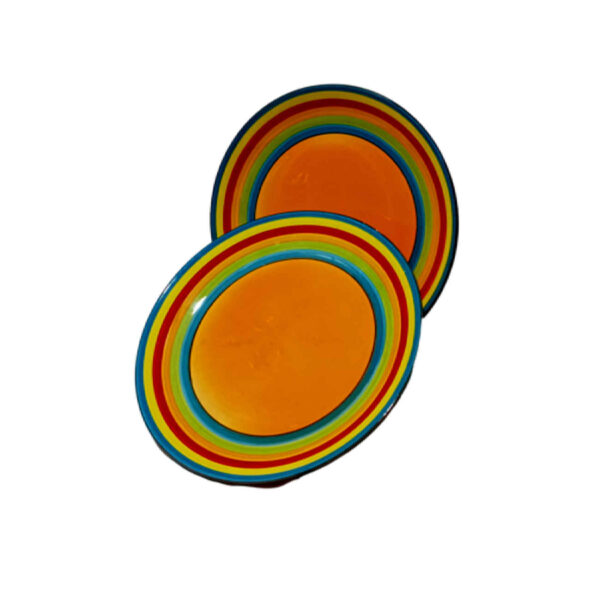 Ceramic Dinnerware Plate - Dishwasher Safe (Set of 2) | Rainbow Model