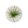 Ceramic Dinnerware Plate - Microwave, Dishwasher Safe and Durable (Set of 4)